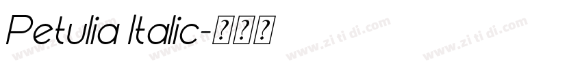 Petulia Italic字体转换